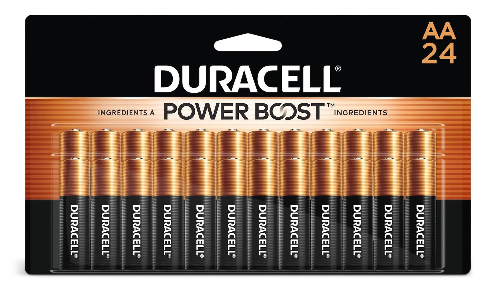 Coppertop AA Batteries, Alkaline, 24-pk Z1N1 - product image 1