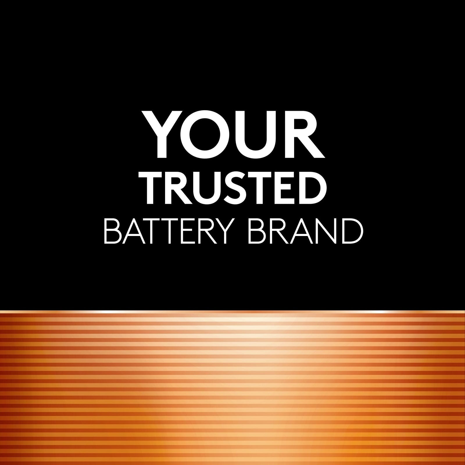 Coppertop AA Batteries, Alkaline, 4-pk M3W6 - product image 2