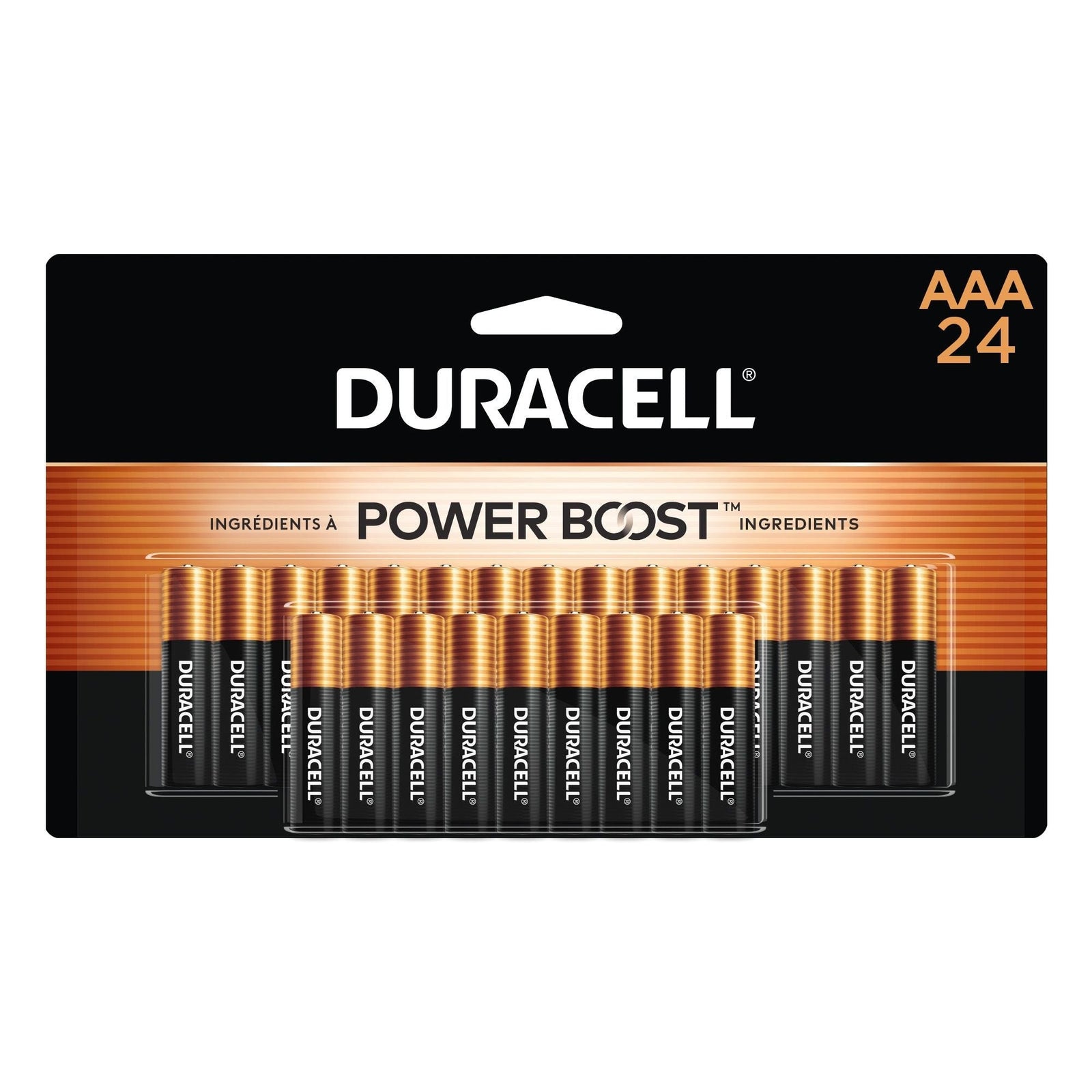 Coppertop AAA Batteries, Alkaline, 24-pk M0W5 - product image 1